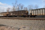 NS 10008